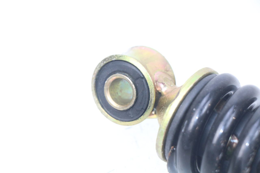 photo de REAR SHOCK ABSORBER TNT MOTOR ROMA 10' 4T 50 (2007 - 2018)