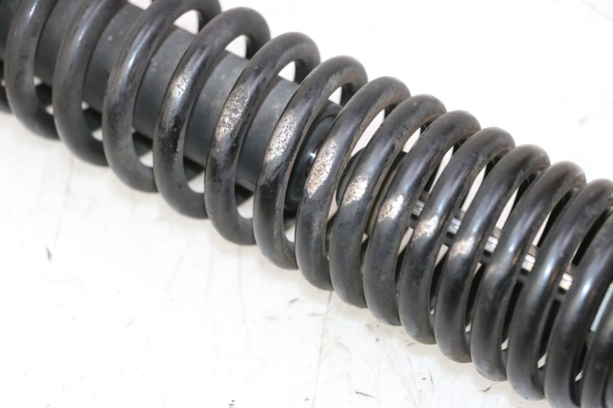 photo de REAR SHOCK ABSORBER PEUGEOT TWEET PRO CARGO 50 (2018 - 2020)