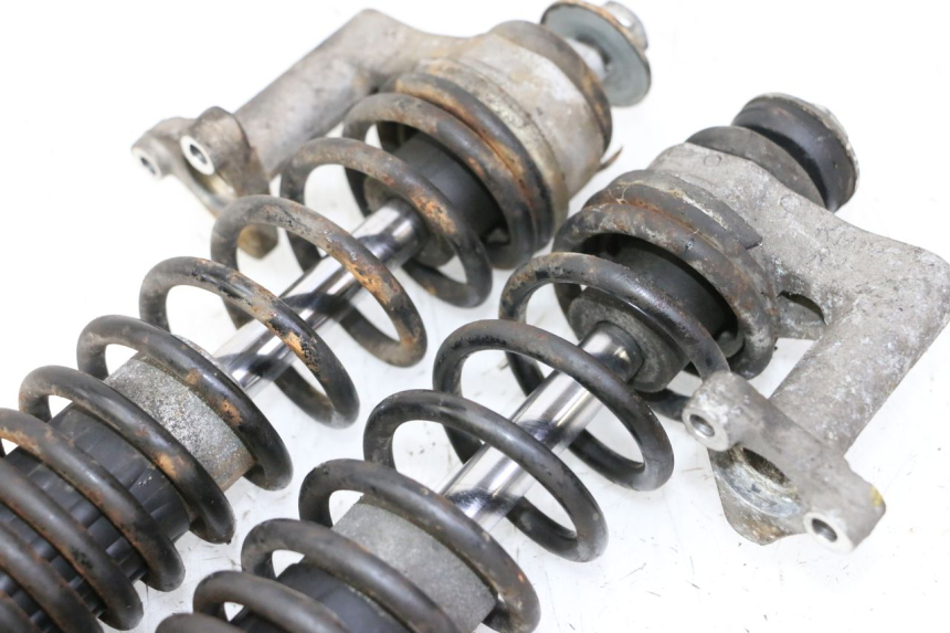 photo de FRONT SHOCK ABSORBER PIAGGIO MP3 LT 300 (2010 - 2016)