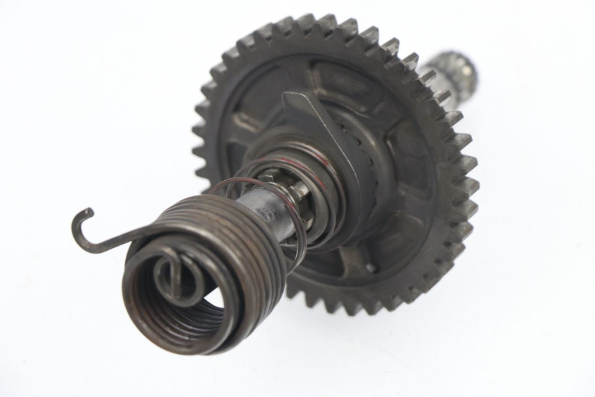 photo de KICK START CHAFT SUZUKI DR DJEBEL 600 (1985 - 1990)