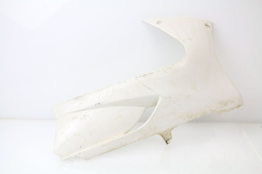 photo de RIGHT BELLY PANEL PEUGEOT JET FORCE CARBU 50 (2003 - 2016)