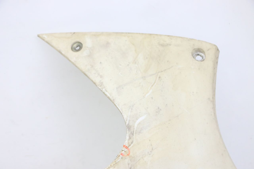 photo de RIGHT BELLY PANEL PEUGEOT JET FORCE CARBU 50 (2003 - 2016)