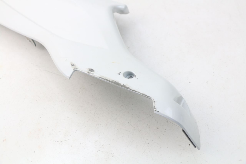 photo de RIGHT LOWER SIDE PANEL DAELIM S3 125 (2010 - 2017)