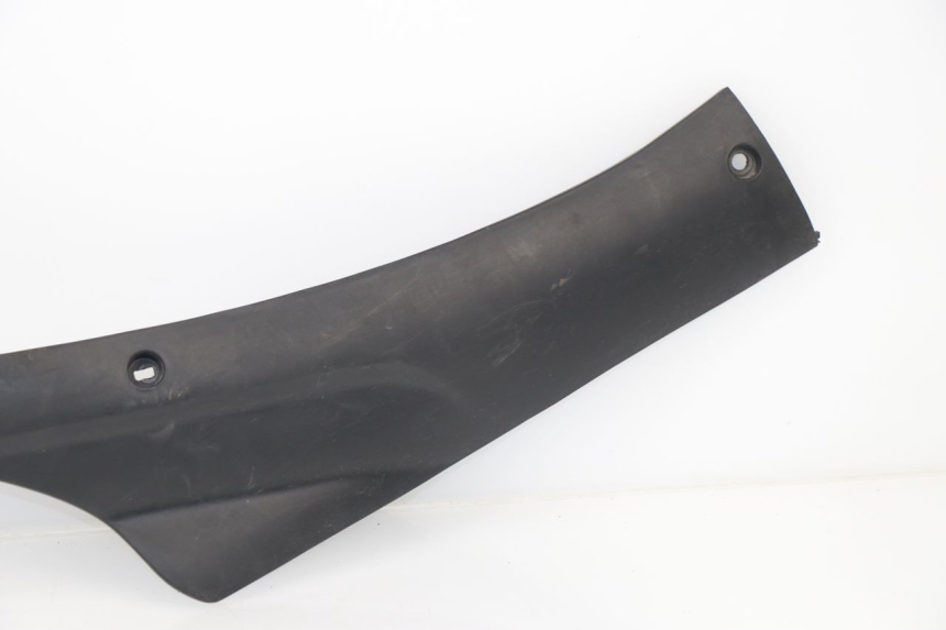 photo de RIGHT BELLY PANEL SACHS EAGLE 50 (2007 - 2010)
