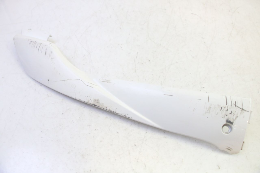 photo de RIGHT BELLY PANEL PEUGEOT TWEET PRO EFI 4T 50 (2021 - 2022)