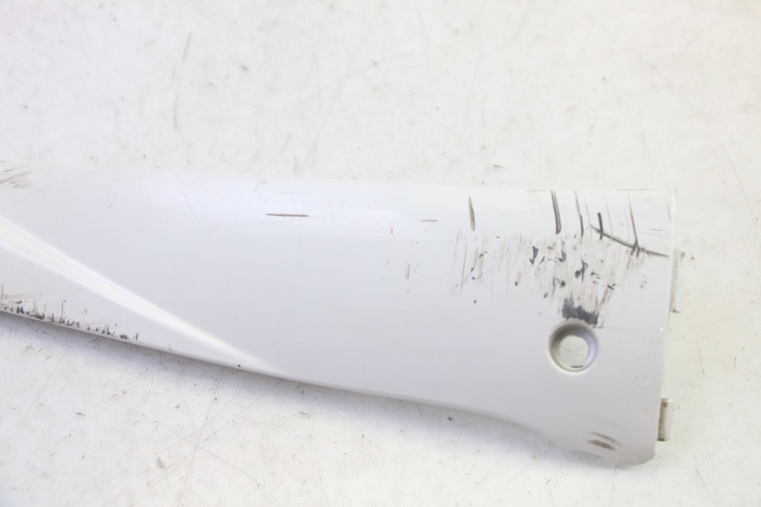 photo de RIGHT BELLY PANEL PEUGEOT TWEET PRO EFI 4T 50 (2021 - 2022)