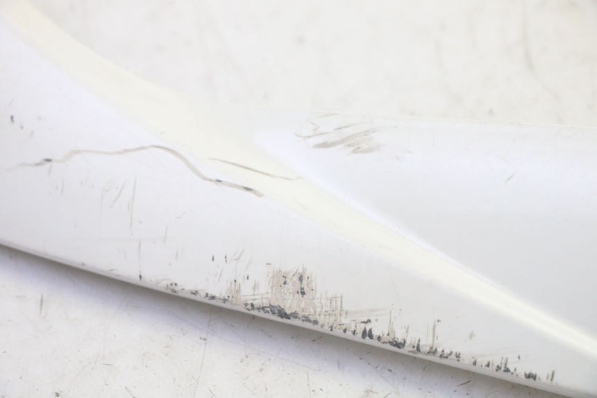 photo de RIGHT BELLY PANEL PEUGEOT TWEET PRO EFI 4T 50 (2021 - 2022)