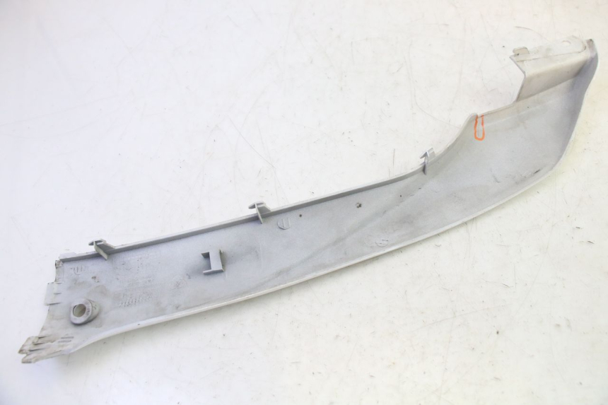 photo de RIGHT BELLY PANEL PEUGEOT TWEET PRO EFI 4T 50 (2021 - 2022)