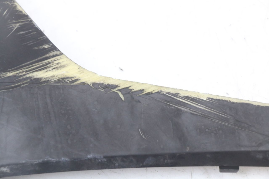 photo de LEFT BELLY PANEL LONGJIA EASY MAX 125 (2020 - 2024)