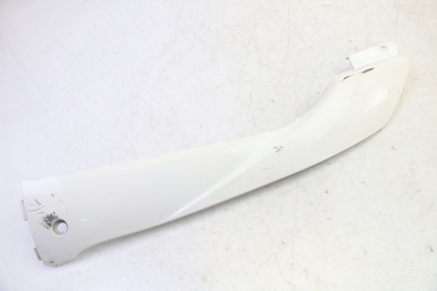 photo de LEFT BELLY PANEL PEUGEOT TWEET PRO EFI 4T 50 (2021 - 2022)