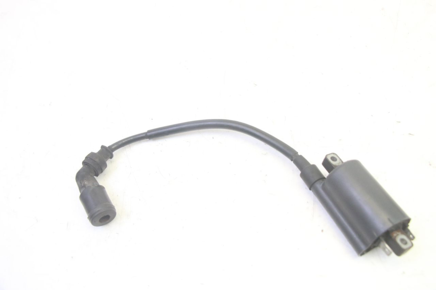 photo de COIL SUZUKI BURGMAN 125 (2007 - 2014) - Alternative perspective