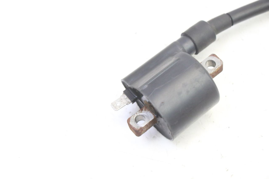 photo de IGNITION COIL APRILIA CLASSIC 125 (1995 - 2001)