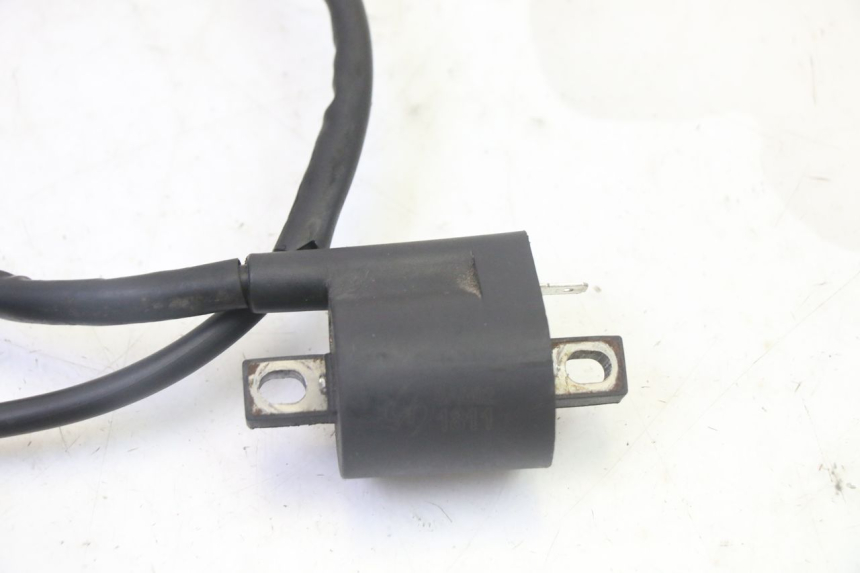 photo de IGNITION COIL STAHO FH 50 (2018 - 2019)