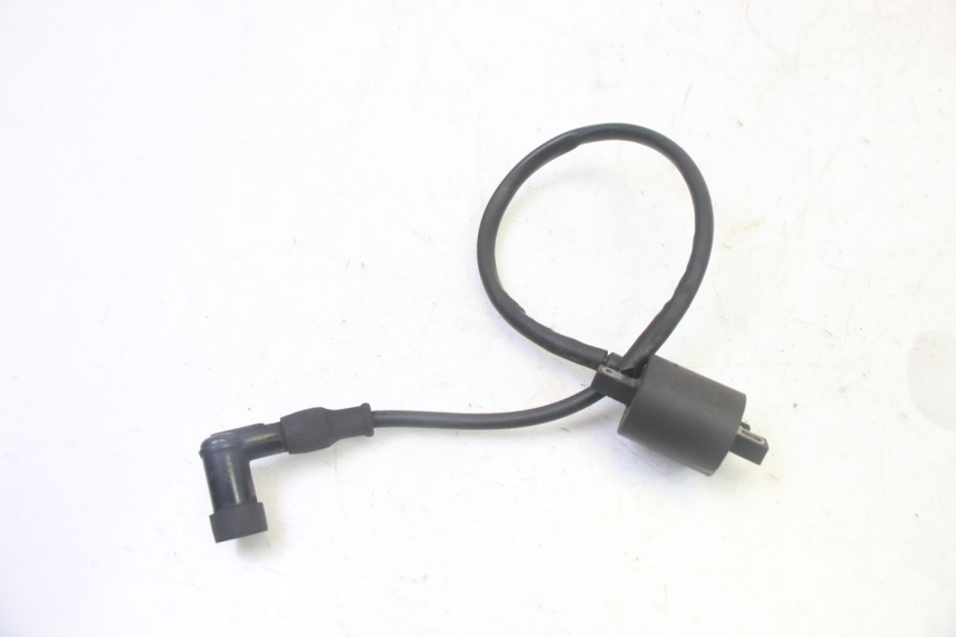 photo de IGNITION COIL STAHO FH 50 (2018 - 2019)
