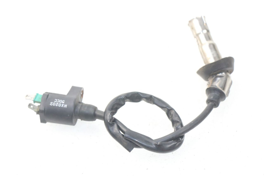 photo de IGNITION COIL JM MOTORS SUNNY 50 (2017 - 2020)