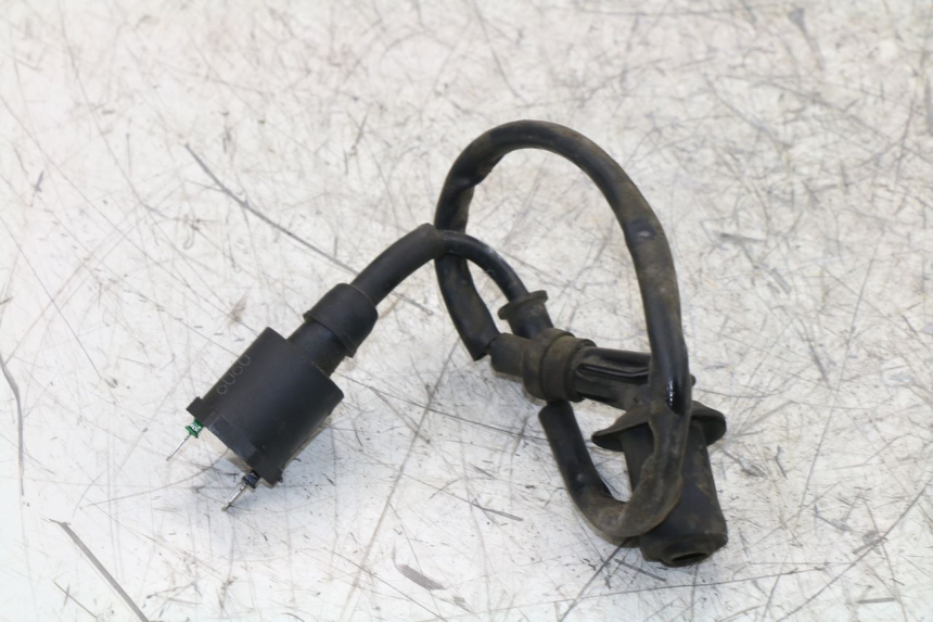 photo de IGNITION COIL LINTEX HT50QT-36 VERONA 50 (2012 - 2017)
