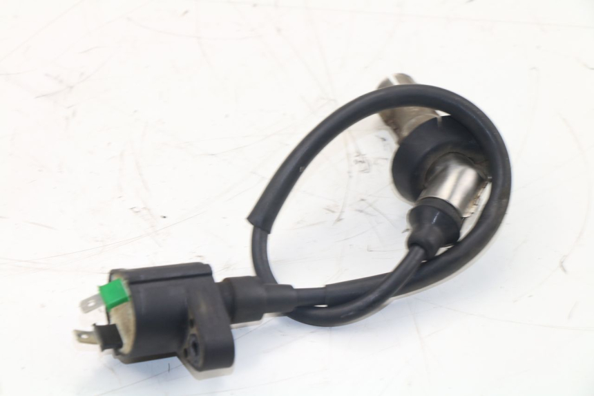 photo de IGNITION COIL ROADSIGN WALLABY 50 (2009 - 2014)