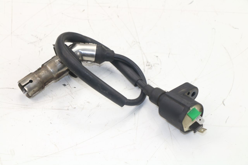 photo de IGNITION COIL ROADSIGN WALLABY 50 (2009 - 2014)