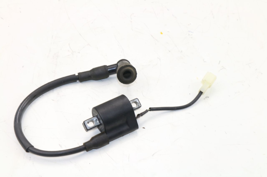 photo de IGNITION COIL S-RIDER CAPRI 2T 50 (2010 - 2017)