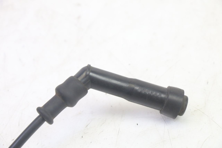 photo de COIL DAELIM S1 125 (2007 - 2016) - Alternative perspective