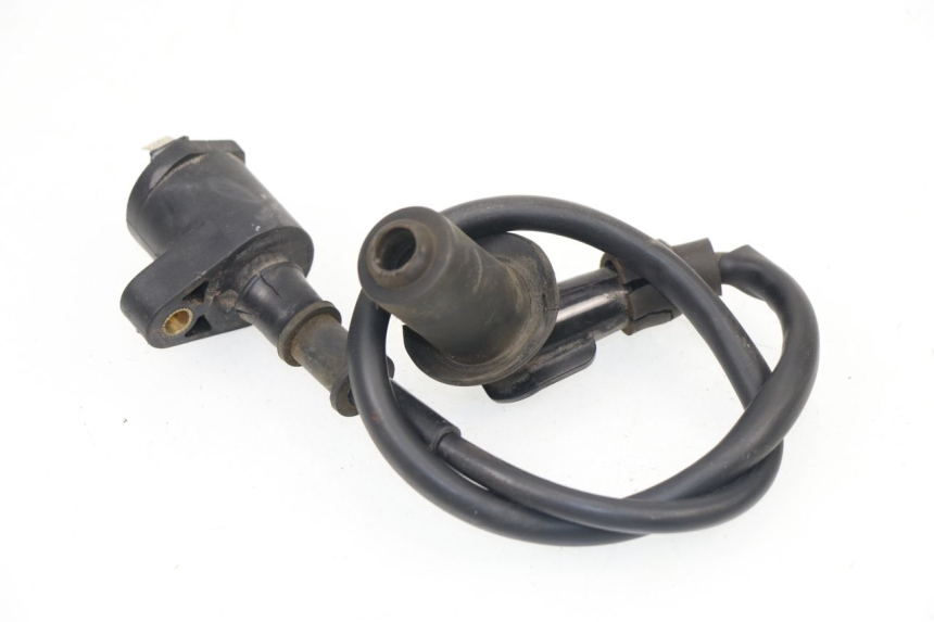 photo de IGNITION COIL SACHS EAGLE 50 (2007 - 2010)