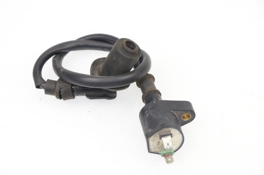 photo de IGNITION COIL SACHS EAGLE 50 (2007 - 2010)