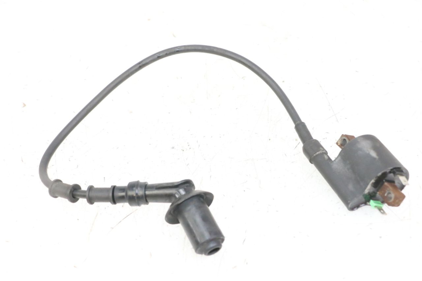 photo de IGNITION COIL PEUGEOT TWEET PRO CARGO 50 (2018 - 2020)