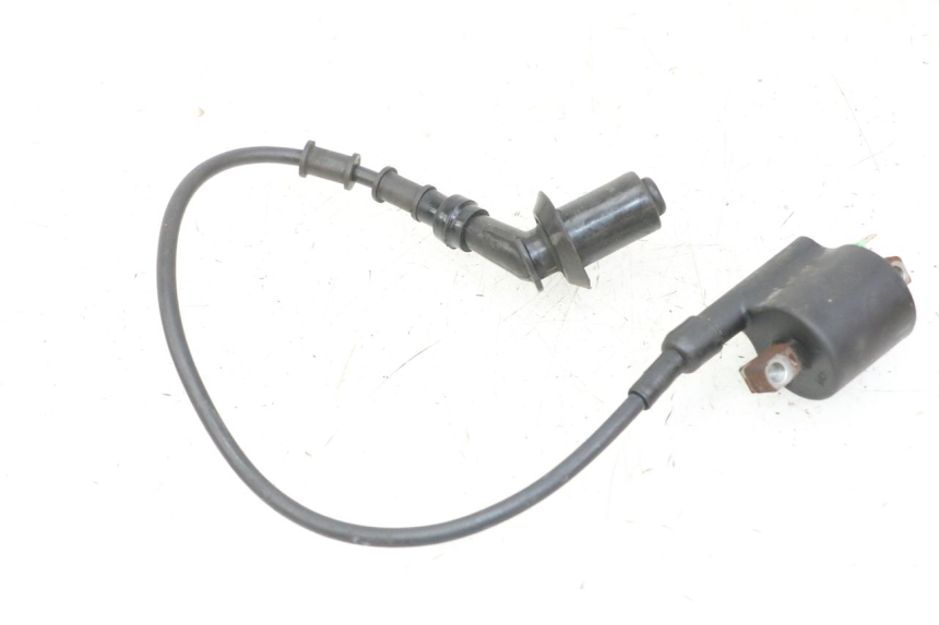 photo de IGNITION COIL PEUGEOT TWEET PRO CARGO 50 (2018 - 2020)