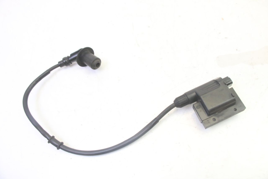 photo de IGNITION COIL PEUGEOT TWEET PRO CARGO 50 (2018 - 2020)