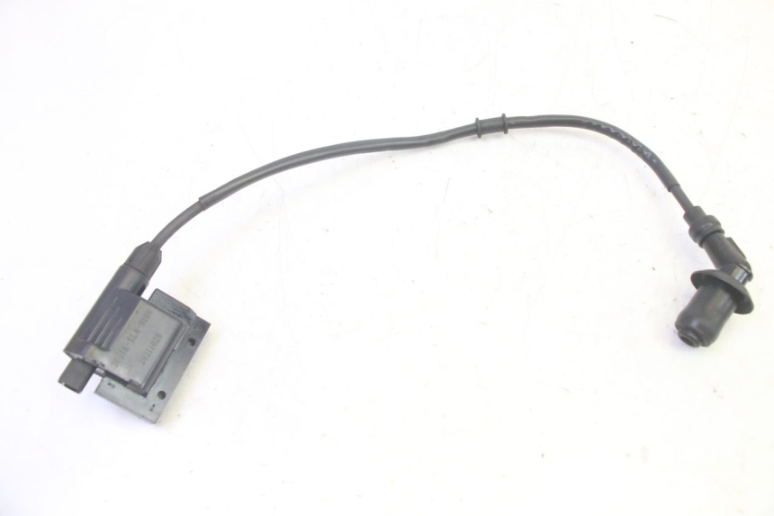 photo de IGNITION COIL PEUGEOT TWEET PRO EFI 4T 50 (2021 - 2022)