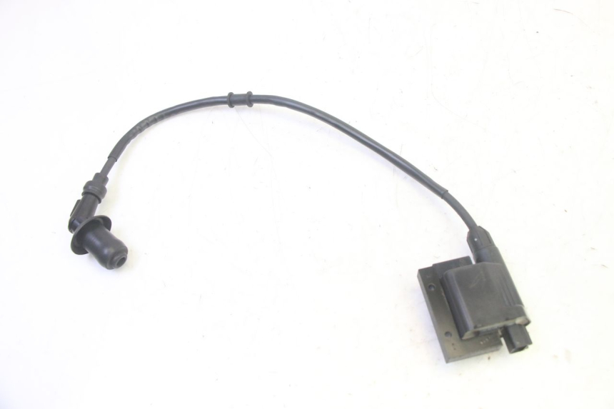 photo de IGNITION COIL PEUGEOT TWEET PRO EFI 4T 50 (2021 - 2022)