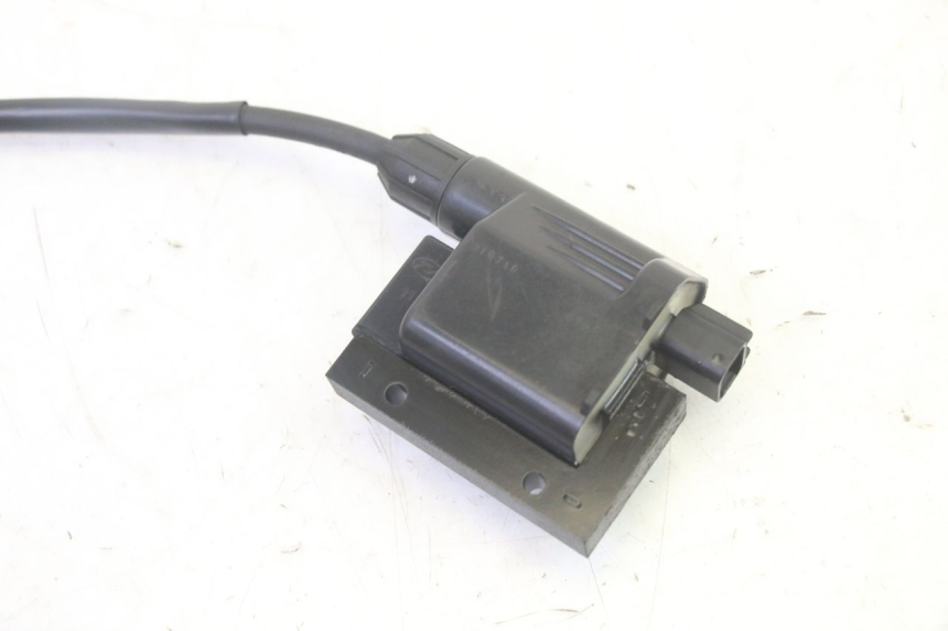 photo de IGNITION COIL PEUGEOT TWEET PRO EFI 4T 50 (2021 - 2022)