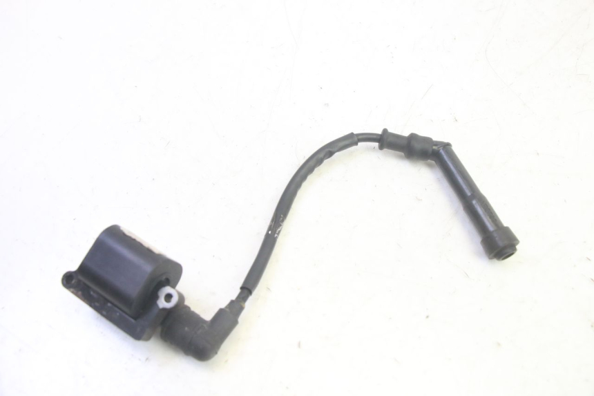 photo de COIL DAELIM VJ ROADWIN FI 125 (2008 - 2017) - Main view