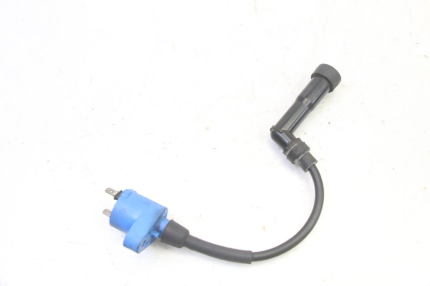 photo de COIL PIAGGIO X9 EVOLUTION 125 (2003 - 2007)