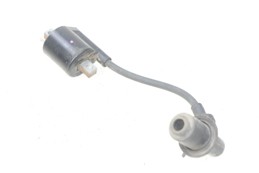 photo de COIL YAMAHA D'ELIGHT DELIGHT 115 (2013 - 2017)