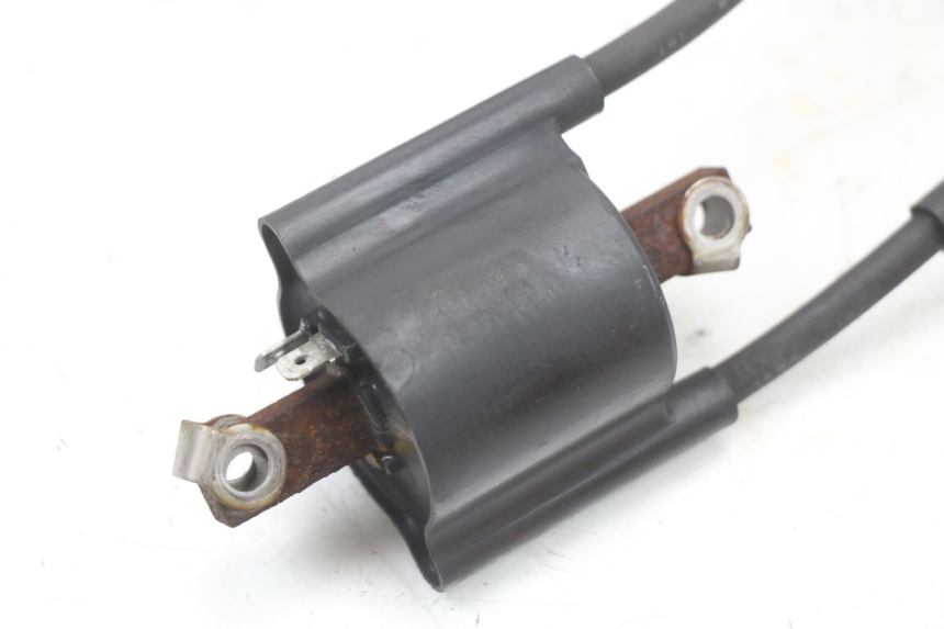 photo de IGNITION COIL YAMAHA XJS DIVERSION 600 (1997 - 1999)