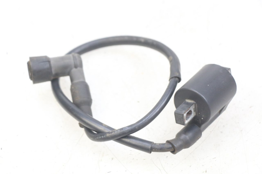 photo de COIL YAMASAKI RAPTOR 50 (2013 - 2018)