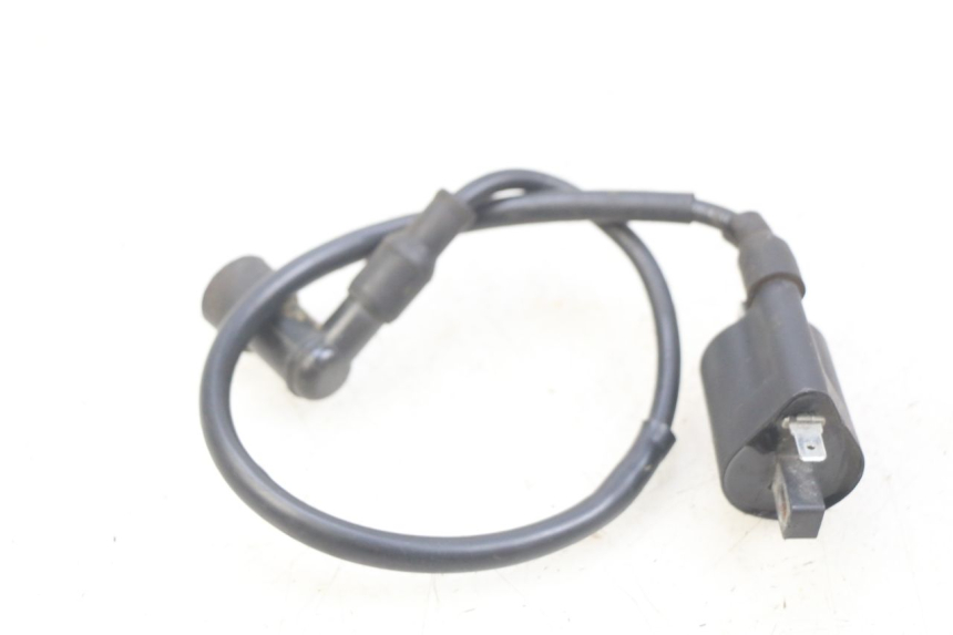 photo de COIL YAMASAKI RAPTOR 50 (2013 - 2018)