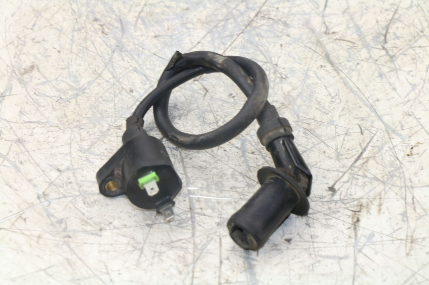 photo de IGNITION COIL ZNEN NEW ROLANDO 50 (2010 - 2020)