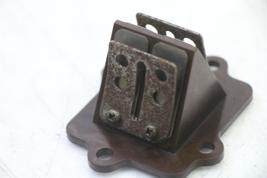 photo de REED VALVE MASH BIBOP 2T 50 (2013 - 2018)
