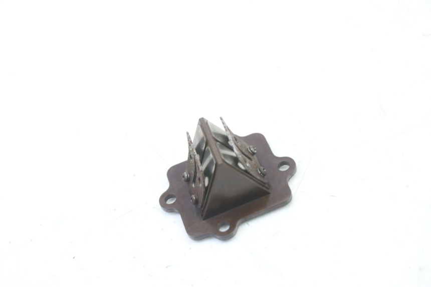 photo de REED VALVE MASH BIBOP 2T 50 (2013 - 2018)