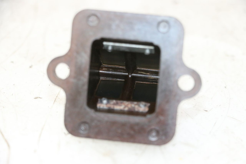 photo de REED VALVE ASSEMBLY PEUGEOT CITYSTAR 50 (2013 - 2017)