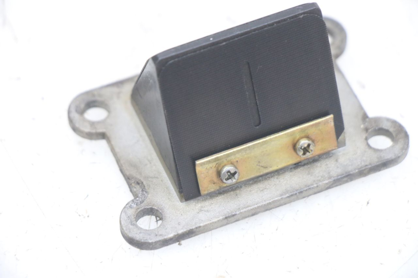 photo de REED VALVE ASSEMBLY GILERA RK 50 (1996 - 1999)
