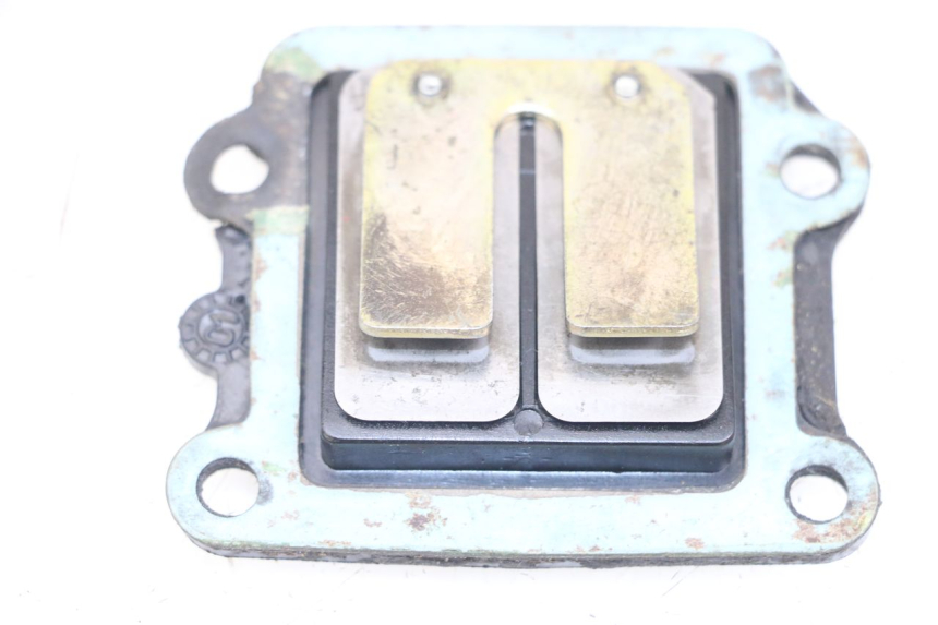 photo de REED VALVE ASSEMBLY MBK BOOSTER SPIRIT 50 (1999 - 2003)
