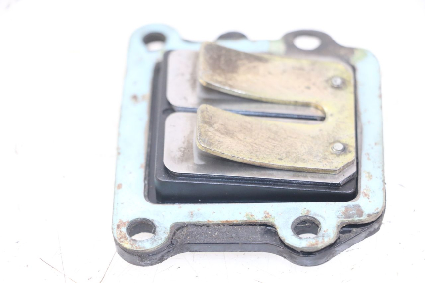 photo de REED VALVE ASSEMBLY MBK BOOSTER SPIRIT 50 (1999 - 2003)
