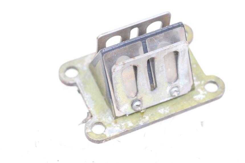 photo de REED VALVE ASSEMBLY RIEJU MRT 50 (2009 - 2017)