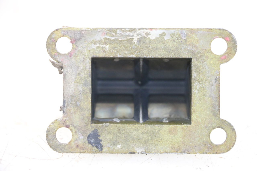photo de REED VALVE ASSEMBLY RIEJU MRT 50 (2009 - 2017)