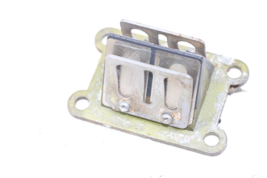 photo de REED VALVE ASSEMBLY RIEJU MRT 50 (2009 - 2017)