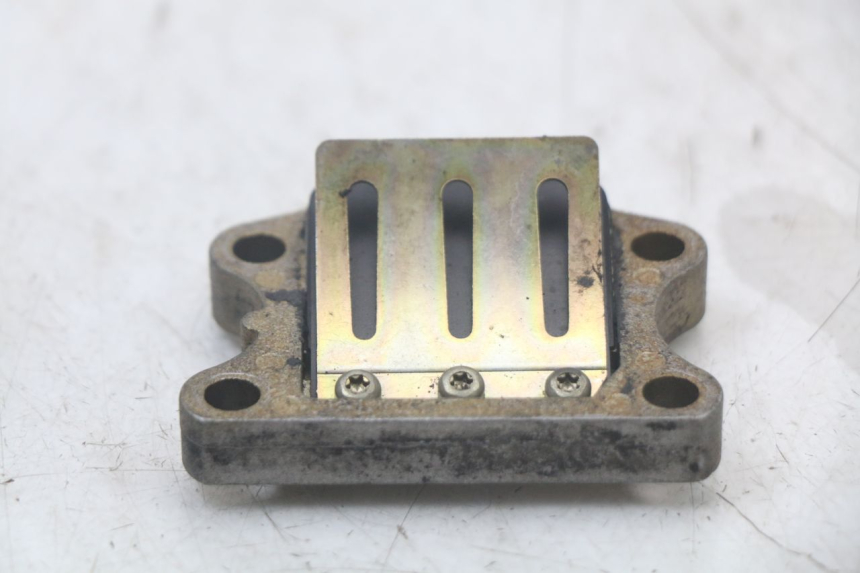 photo de REED VALVE ASSEMBLY PEUGEOT SPEEDFIGHT 100 (1997 - 2007)