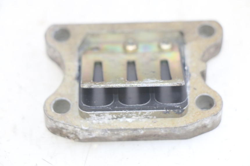 photo de REED VALVE ASSEMBLY PEUGEOT SPEEDFIGHT LC 50 (1996 - 2002)